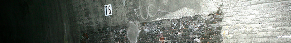 Buschtunnel Aachen-Ronheide - Header Buschtunnel 01