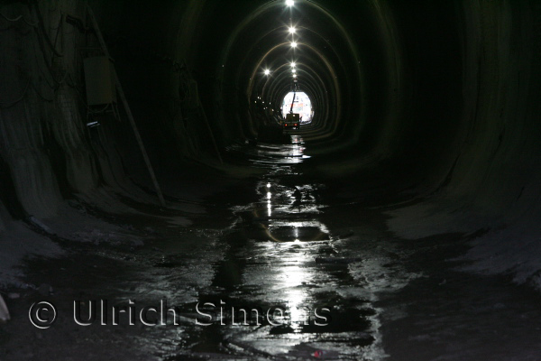 sim_buschtunnel_20100617_03