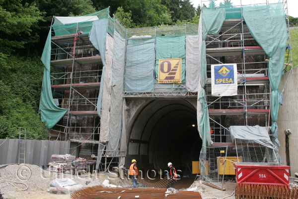 sim_buschtunnel_20100617_18